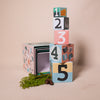 stacked number cubes with numerals and illustrations of colourful objects and animals